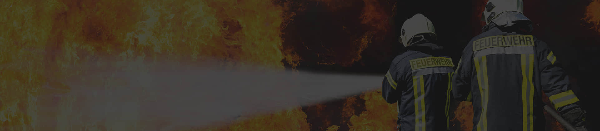 Wood Fire Rated Door